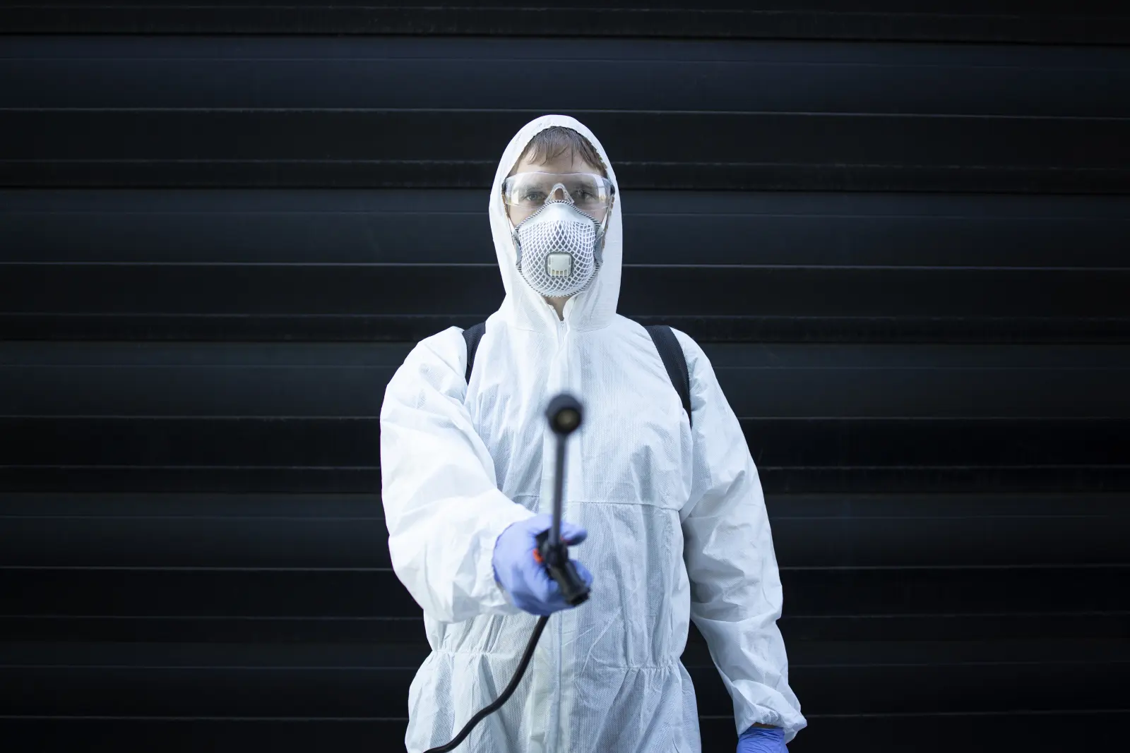 Professional exterminator in Montreal providing pest control service